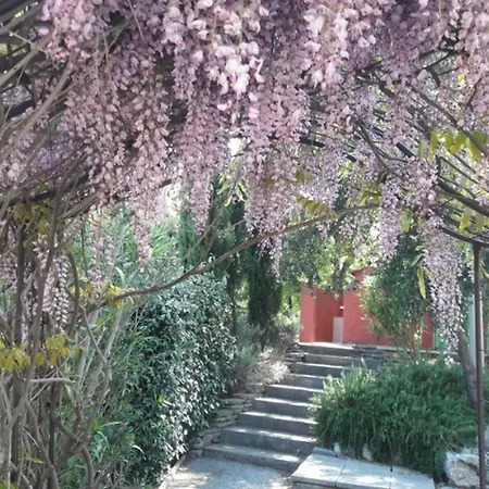 Mobil-home 6 Pers Avec Terrasse A - Api-1-52-1692 Grimaud