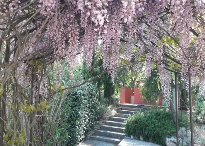 Mobil-home 6 Pers Avec Terrasse A - Api-1-52-1692 Grimaud