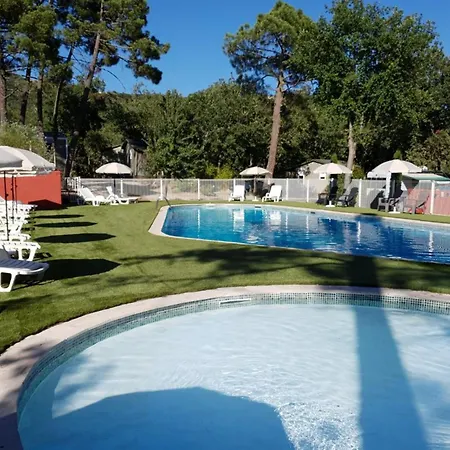 Mobil-home 6 Pers Avec Terrasse à - Api-1-52-1692 *